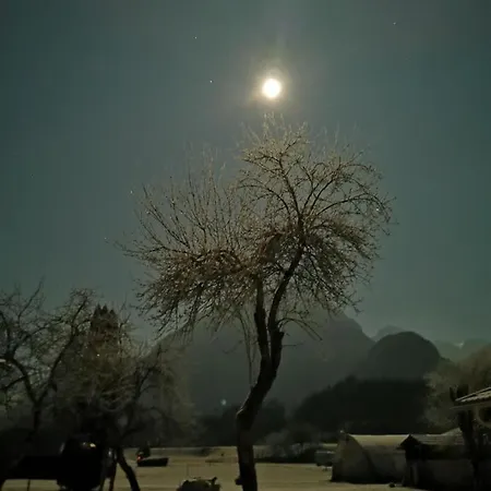 Apartma Miko Apartment