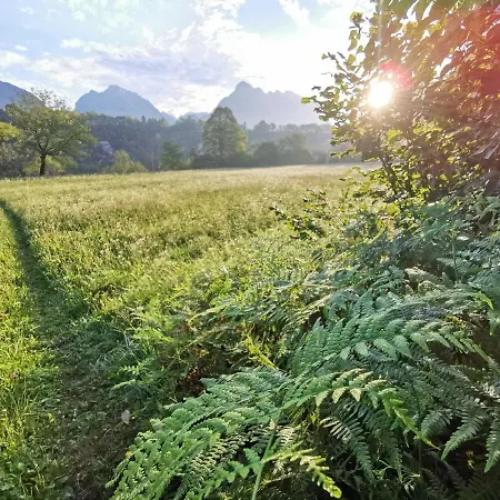 Apartment Apartma Miko