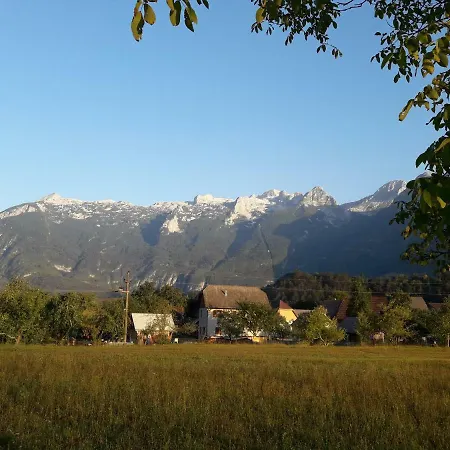 Apartma Miko Apartment Bovec