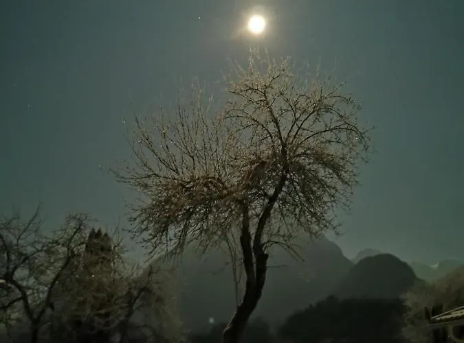 Apartma Miko דירה