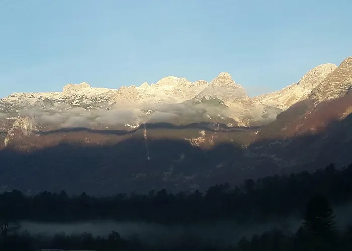 Apartma Miko דירה *